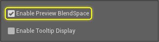 Enable Preview Blendspace Option