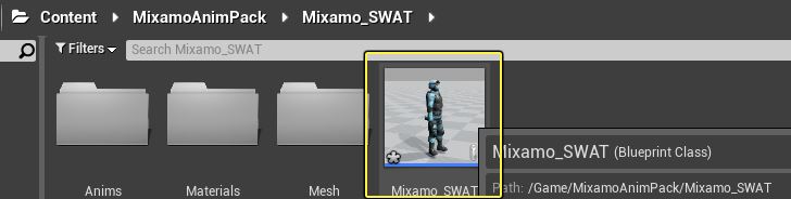 MixamoSWAT.png