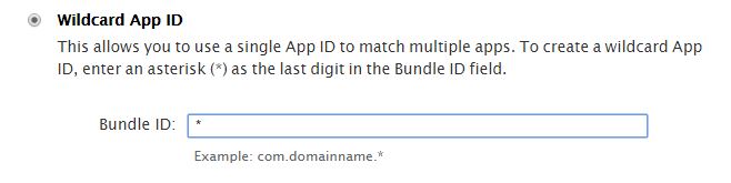 app_bundle_id.png